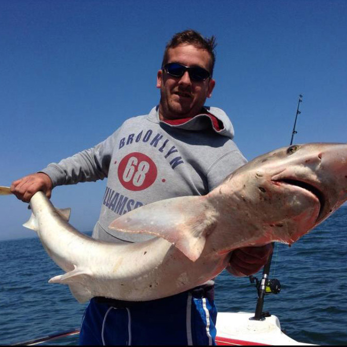 A large tope caught off of Wells-Next-The-Sea